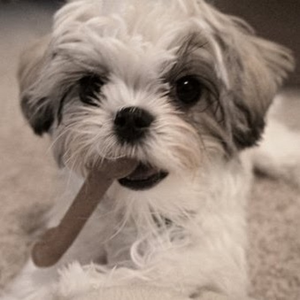 Meet your Posher, Gina